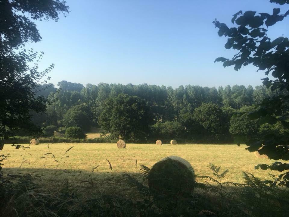 Chambres D'Hotes La Clef Des Champs Montpinchon Zewnętrze zdjęcie